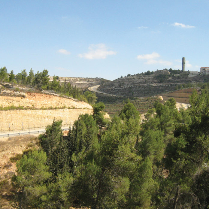 EIN NEQOUFA