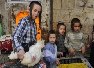 De jeunes Juifs orthodoxes font les Kaparoth avec des poulets à Méa Chearim, Jérusalem.