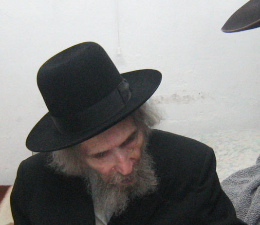 L'appel du rav Aharon Leiv Steinmann