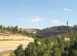 EIN NEQOUFA