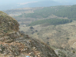 La tombe de 'Aqavia ben Mehalalel