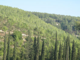 Le parc de Na'hal Hachofeth