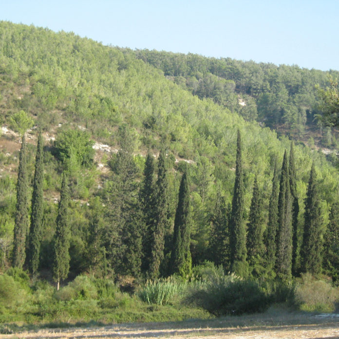 Le parc de Na'hal Hachofeth