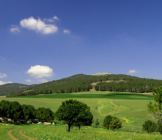 SOS c’est les vacance