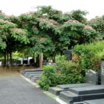1024px-Pantin_cimetiere_parisien_tombes_juives_en_été_2