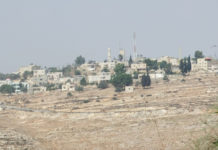Tamimi : symbole de l’inversion des responsabilités