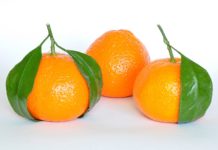 Scandale : deux tonnes de mandarines israéliennes offertes aux Restos du cœur