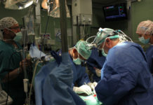 Percée israélienne dans le traitement du cancer du pancréas