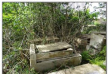 Une inspection du cimetière de St-Eugène (Bologhine) à Alger