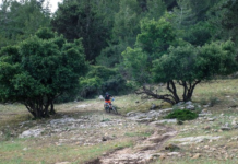 Protection de l’environnement : pourquoi Israël est en avance sur la France
