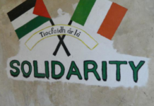 Le Sénat irlandais vote le boycott des produits des Judée-Samarie