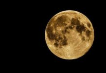Que contient la sonde spatiale qu’Israël envoie sur la Lune ?