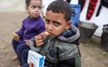 Scandale à l’ONU : des chercheurs anti-israéliens derrière le rapport sur la famine à Gaza