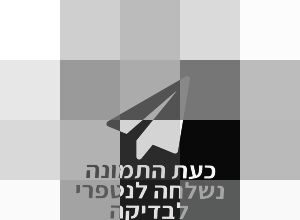 Quand Rima dit la vérité, il faut l’écouter