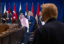 Soutien total : les pays arabes, sous la conduite de l’Arabie saoudite et de l’Égypte, approuvent le plan du président Trump