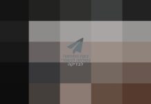 La procureure militaire en chef admet être reponsable d’une fuite grave