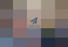 David Zini – CV