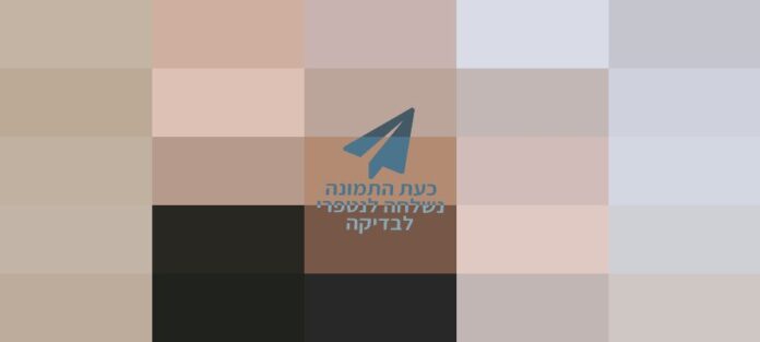 freepik__talk__96953-890x400