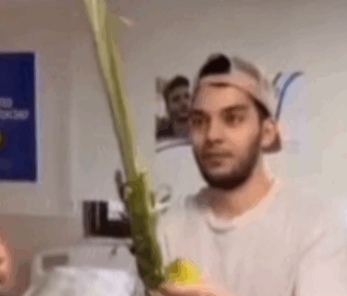 image - 2025-10-29T073614.865