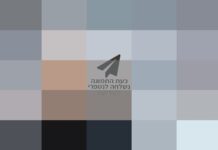 Une nouvelle paire de baffes à l’establishment juridique !