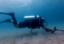 Recherches du téléphone de la procureure militaire en chef au fond de la mer