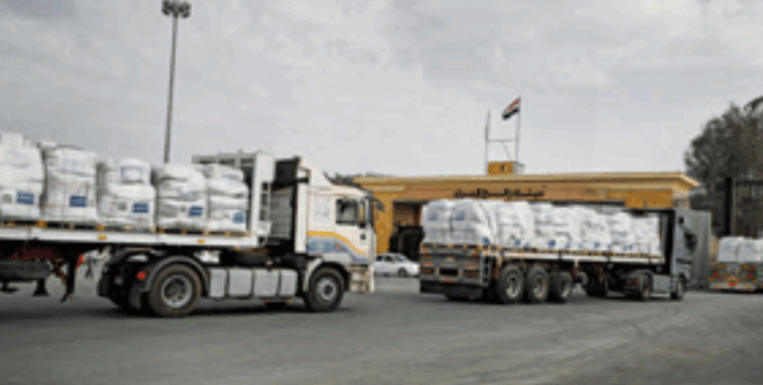 image - 2025-11-24T084852.729