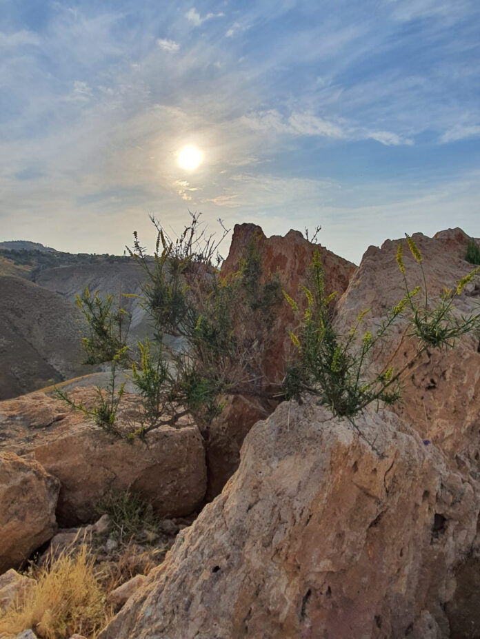 unnamed - 2025-11-05T154155.441