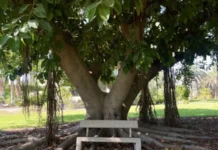 Faut-il vérifier la sincérité d’une personne qui désire se convertir ?