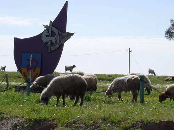 נוף_מחוץ_לבסיס_(פברואר,_2005)