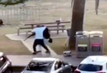 Bondi Beach : une obsession génocidaire