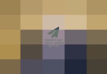 Levin à la Cour suprême : « Je suis dans une impasse », demande à nouveau la nomination de Kula — et propose une solution