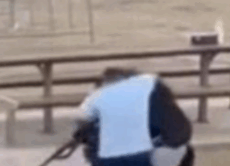 Le héros qui a maîtrisé le terroriste en Australie est Ahmed Al Ahmed