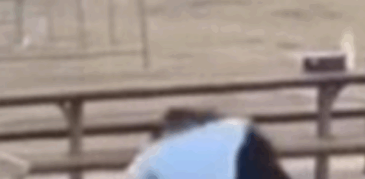 Le héros qui a maîtrisé le terroriste en Australie est Ahmed Al Ahmed