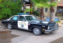 Los Angeles : une synagogue vandalisée et envahie par des manifestants pro-palestiniens