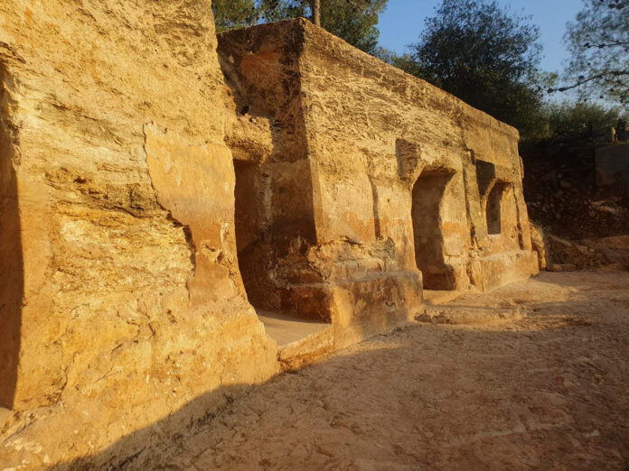 unnamed - 2025-12-15T103101.166