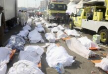 L’Iran assassine 43 000 personnes dans un silence coupable