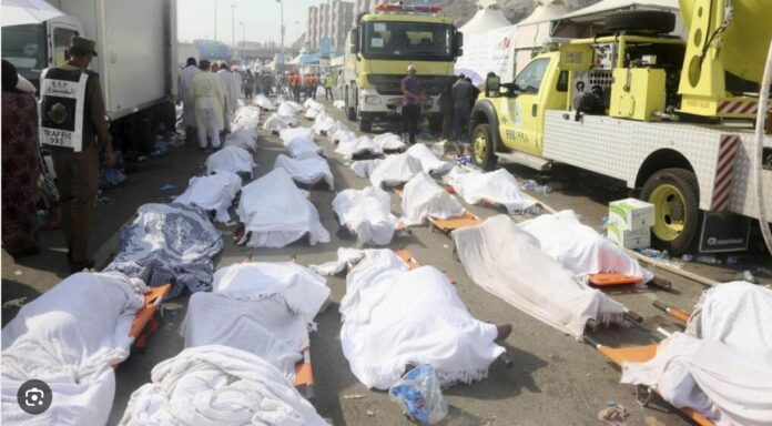 176927342597515042831233920593