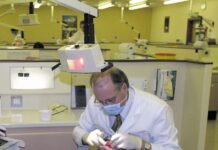 L’incroyable travail des dentistes mobilisés pour identifier le corps de Ran Guevili à Gaza