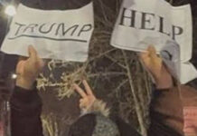 Les menaces de Trump ébranlent-elles les Gardiens de la révolution ? Un expert révèle ce qui se passe à Téhéran