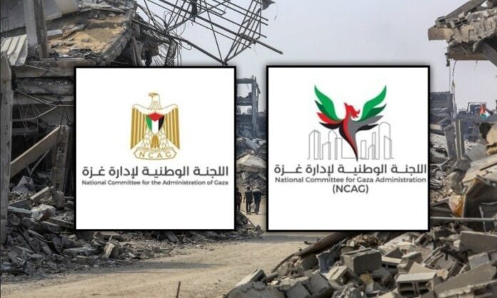 1d051d87-b89d-4c80-8e2d-59f10489a426_tumb_800X480