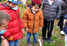 L’antisémitisme frappe de nouveau en France : de lourds dégâts dans une école primaire juive à Paris