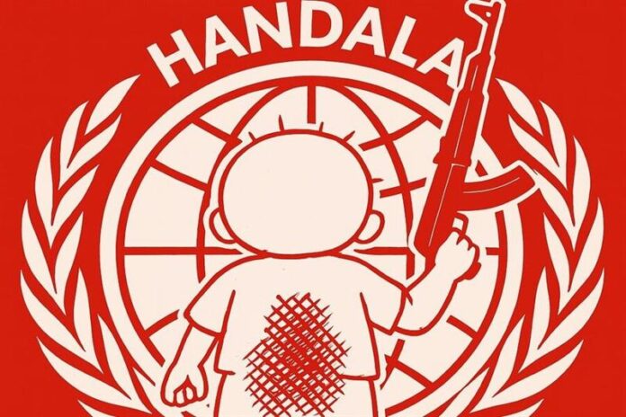 41_2026-639089466084176251-417