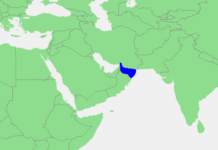 Les États-Unis détruisent 11 navires dans le golfe d’Oman, l’Iran ferme le détroit d’Ormuz