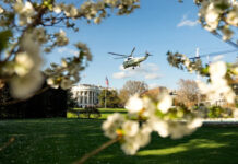 « Merci à D’ pour Trump »