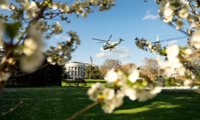 Maison blanche arbres