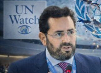 ONU : Hillel Neuer combat de l’intérieur la machine anti-Israël