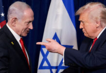 Pr Michaël Ayache : lettre ouverte au Président des Etats Unis