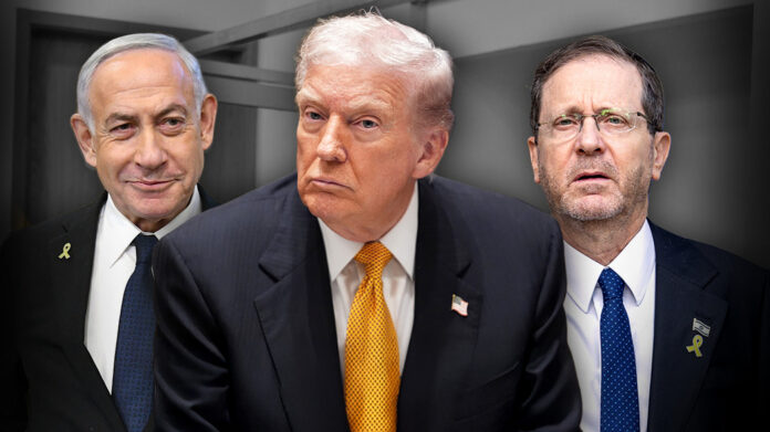 Bibi Trump Herzog