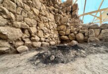 Des poutres en bois brûlées datant de la destruction du Premier Temple découvertes dans la Cité de David