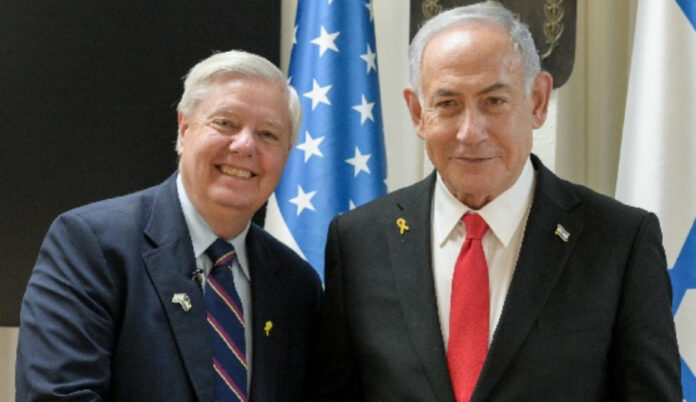 Bibi Graham